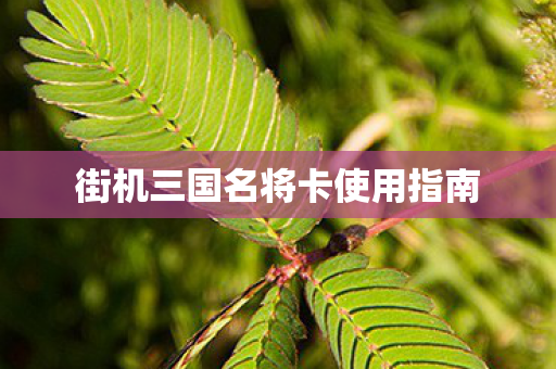 街机三国名将卡使用指南