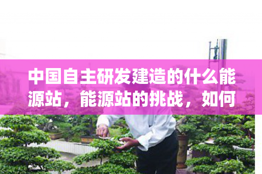 中国自主研发建造的什么能源站,能源站的挑战,如何应对Bug问题 中国自主研发建造的什么能源站,能源站的挑战,如何应对Bug问题