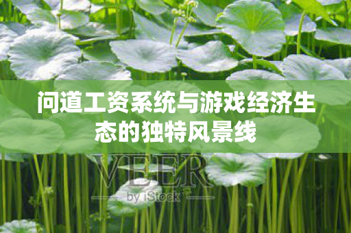 问道工资系统与游戏经济生态的独特风景线 问道工资系统与游戏经济生态的独特风景线