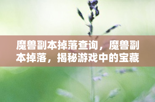 魔兽副本掉落查询,魔兽副本掉落,揭秘游戏中的宝藏与机遇 魔兽副本掉落查询,魔兽副本掉落,揭秘游戏中的宝藏与机遇