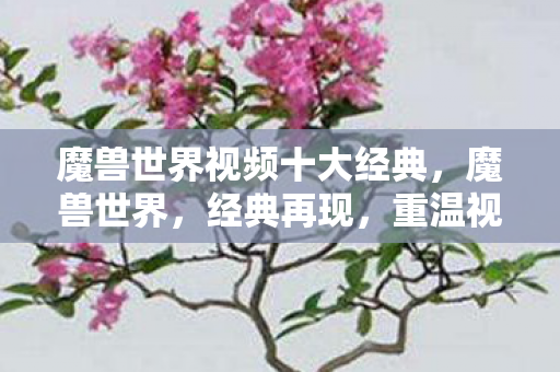 魔兽世界视频十大经典,魔兽世界,经典再现,重温视频中的奇幻世界! 魔兽世界视频十大经典,魔兽世界,经典再现,重温视频中的奇幻世界!