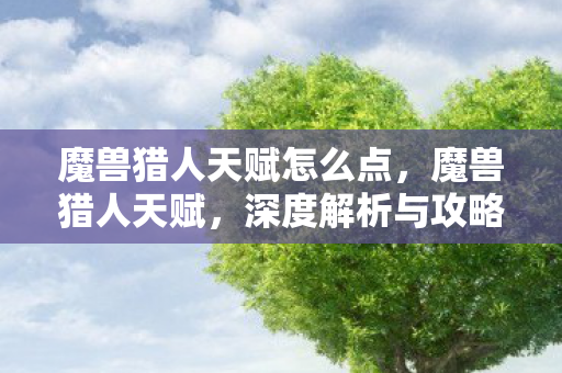 魔兽猎人天赋怎么点，魔兽猎人天赋，深度解析与攻略指南