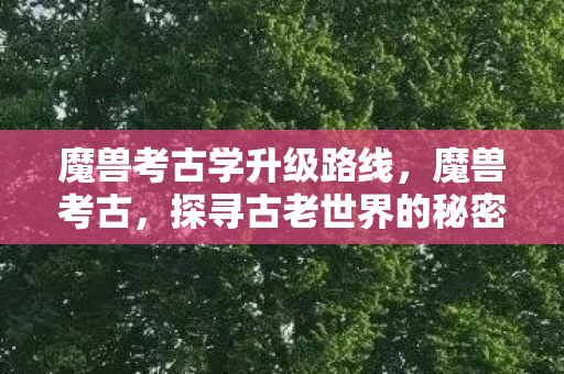 魔兽考古学升级路线,魔兽考古,探寻古老世界的秘密之旅 魔兽考古学升级路线,魔兽考古,探寻古老世界的秘密之旅