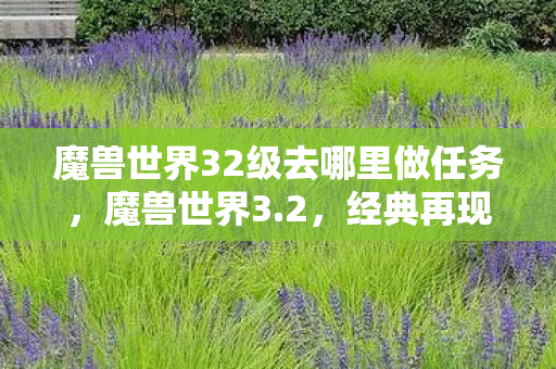 魔兽世界32级去哪里做任务,魔兽世界3.2,经典再现,怀旧玩家的天堂! 魔兽世界32级去哪里做任务,魔兽世界3.2,经典再现,怀旧玩家的天堂!