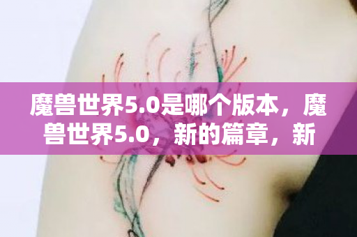 魔兽世界5.0是哪个版本,魔兽世界5.0,新的篇章,新的挑战 魔兽世界5.0是哪个版本,魔兽世界5.0,新的篇章,新的挑战