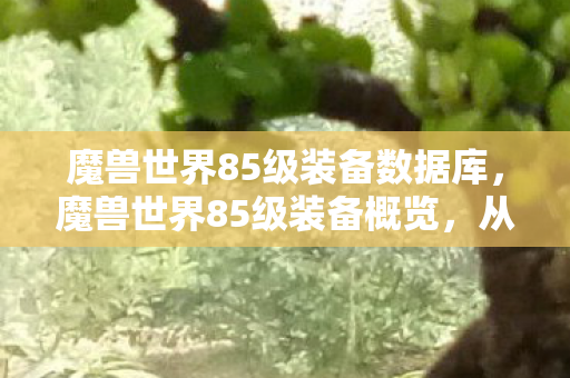 魔兽世界85级装备数据库,魔兽世界85级装备概览,从新手到巅峰的选择 魔兽世界85级装备数据库,魔兽世界85级装备概览,从新手到巅峰的选择