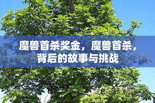 魔兽首杀奖金,魔兽首杀,背后的故事与挑战 魔兽首杀奖金,魔兽首杀,背后的故事与挑战