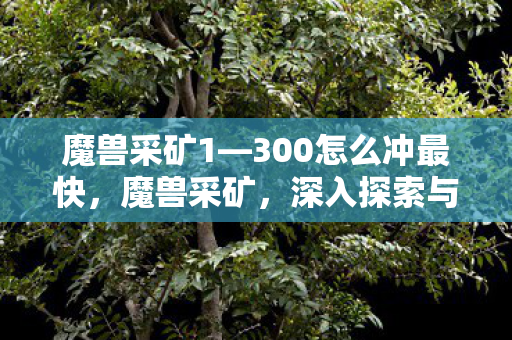 魔兽采矿1—300怎么冲最快,魔兽采矿,深入探索与策略指南 魔兽采矿1—300怎么冲最快,魔兽采矿,深入探索与策略指南