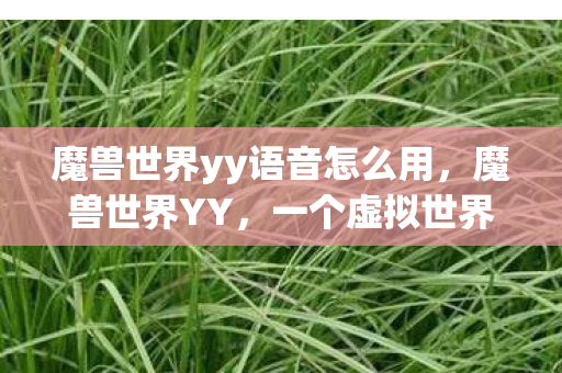 魔兽世界yy语音怎么用,魔兽世界YY,一个虚拟世界的真实魅力 魔兽世界yy语音怎么用,魔兽世界YY,一个虚拟世界的真实魅力