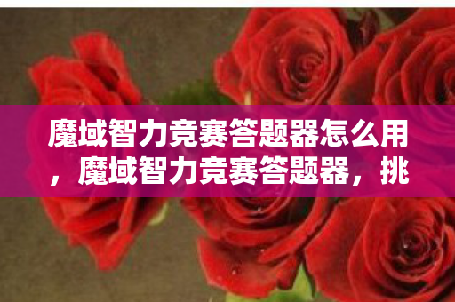 魔域智力竞赛答题器怎么用,魔域智力竞赛答题器,挑战智慧的极限 魔域智力竞赛答题器怎么用,魔域智力竞赛答题器,挑战智慧的极限