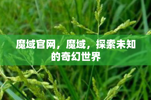 魔域官网,魔域,探索未知的奇幻世界 魔域官网,魔域,探索未知的奇幻世界