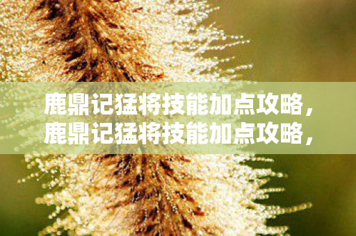鹿鼎记猛将技能加点攻略,鹿鼎记猛将技能加点攻略,提升角色战力,轻松驰骋江湖! 鹿鼎记猛将技能加点攻略,鹿鼎记猛将技能加点攻略,提升角色战力,轻松驰骋江湖!