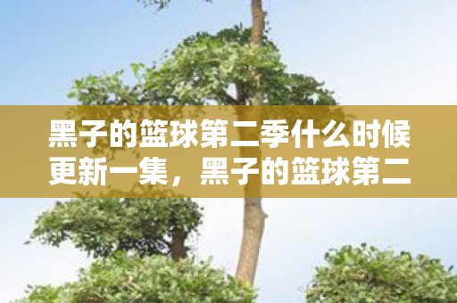 黑子的篮球第二季什么时候更新一集,黑子的篮球第二季更新时间及更多精彩内容展望 黑子的篮球第二季什么时候更新一集,黑子的篮球第二季更新时间及更多精彩内容展望