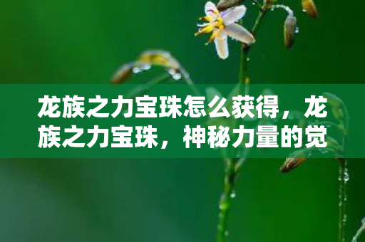 龙族之力宝珠怎么获得，龙族之力宝珠，神秘力量的觉醒与传承