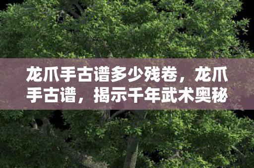 龙爪手古谱多少残卷,龙爪手古谱,揭示千年武术奥秘与传承价值 龙爪手古谱多少残卷,龙爪手古谱,揭示千年武术奥秘与传承价值
