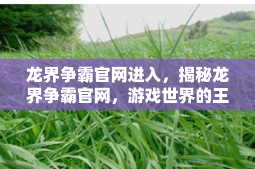 龙界争霸官网进入,揭秘龙界争霸官网,游戏世界的王者之战 龙界争霸官网进入,揭秘龙界争霸官网,游戏世界的王者之战