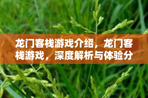 龙门客栈游戏介绍,龙门客栈游戏,深度解析与体验分享 龙门客栈游戏介绍,龙门客栈游戏,深度解析与体验分享