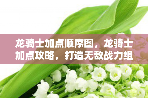 龙骑士加点顺序图,龙骑士加点攻略,打造无敌战力组合 龙骑士加点顺序图,龙骑士加点攻略,打造无敌战力组合