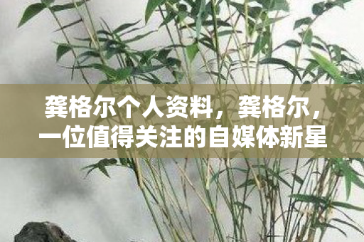 龚格尔个人资料，龚格尔，一位值得关注的自媒体新星