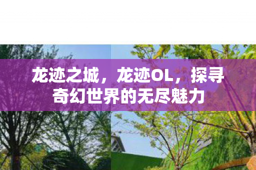 龙迹之城,龙迹OL,探寻奇幻世界的无尽魅力 龙迹之城,龙迹OL,探寻奇幻世界的无尽魅力