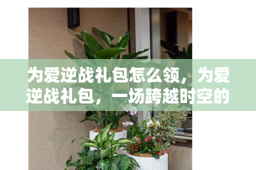 为爱逆战礼包怎么领,为爱逆战礼包,一场跨越时空的深情献礼 为爱逆战礼包怎么领,为爱逆战礼包,一场跨越时空的深情献礼