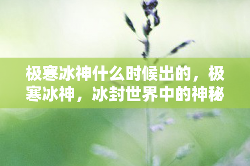 极寒冰神什么时候出的，极寒冰神，冰封世界中的神秘存在