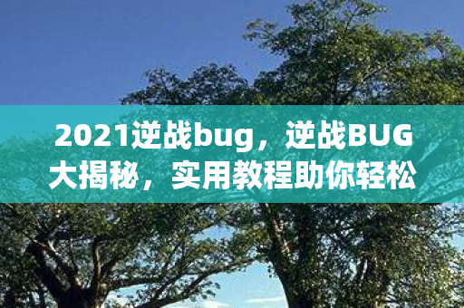 2021逆战bug,逆战BUG大揭秘,实用教程助你轻松掌握游戏技巧 2021逆战bug,逆战BUG大揭秘,实用教程助你轻松掌握游戏技巧