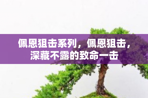 佩恩狙击系列,佩恩狙击,深藏不露的致命一击 佩恩狙击系列,佩恩狙击,深藏不露的致命一击