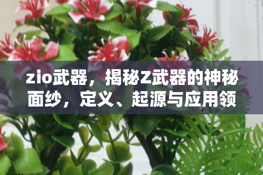 zio武器,揭秘Z武器的神秘面纱,定义、起源与应用领域全面解析 zio武器,揭秘Z武器的神秘面纱,定义、起源与应用领域全面解析