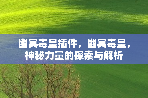 幽冥毒皇插件,幽冥毒皇,神秘力量的探索与解析 幽冥毒皇插件,幽冥毒皇,神秘力量的探索与解析