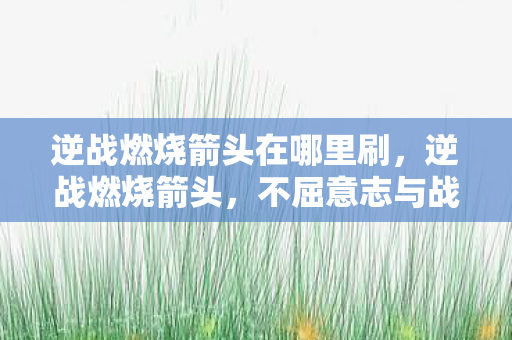 逆战燃烧箭头在哪里刷,逆战燃烧箭头,不屈意志与战斗激情的碰撞 逆战燃烧箭头在哪里刷,逆战燃烧箭头,不屈意志与战斗激情的碰撞