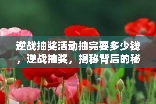 逆战抽奖活动抽完要多少钱，逆战抽奖，揭秘背后的秘密与策略