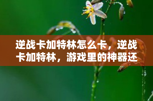 逆战卡加特林怎么卡,逆战卡加特林,游戏里的神器还是陷阱? 逆战卡加特林怎么卡,逆战卡加特林,游戏里的神器还是陷阱?