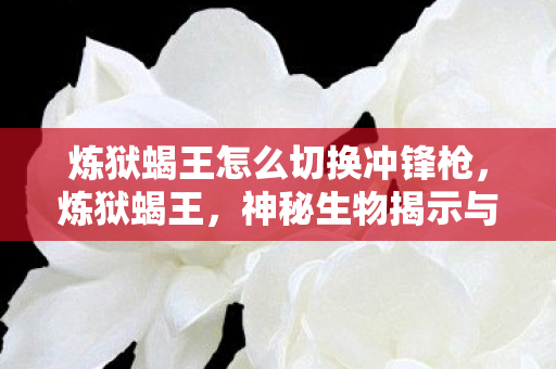 炼狱蝎王怎么切换冲锋枪,炼狱蝎王,神秘生物揭示与探寻 炼狱蝎王怎么切换冲锋枪,炼狱蝎王,神秘生物揭示与探寻