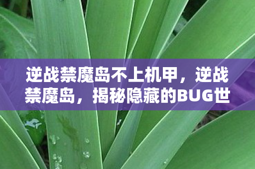 逆战禁魔岛不上机甲，逆战禁魔岛，揭秘隐藏的BUG世界