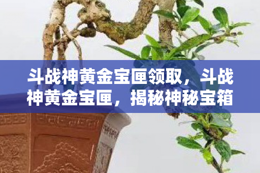 斗战神黄金宝匣领取,斗战神黄金宝匣,揭秘神秘宝箱的传奇之旅 斗战神黄金宝匣领取,斗战神黄金宝匣,揭秘神秘宝箱的传奇之旅