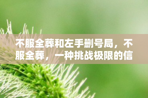 不服全葬和左手删号局,不服全葬,一种挑战极限的信仰与勇气 不服全葬和左手删号局,不服全葬,一种挑战极限的信仰与勇气