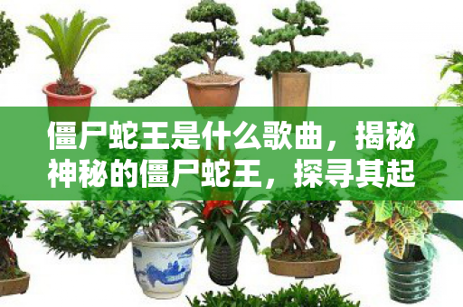 僵尸蛇王是什么歌曲,揭秘神秘的僵尸蛇王,探寻其起源、特性与生存之道 僵尸蛇王是什么歌曲,揭秘神秘的僵尸蛇王,探寻其起源、特性与生存之道