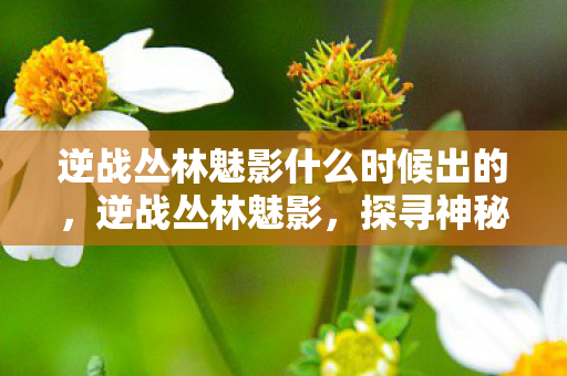 逆战丛林魅影什么时候出的,逆战丛林魅影,探寻神秘世界的未知魅力 逆战丛林魅影什么时候出的,逆战丛林魅影,探寻神秘世界的未知魅力