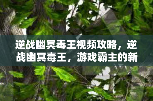 逆战幽冥毒王视频攻略，逆战幽冥毒王，游戏霸主的新挑战