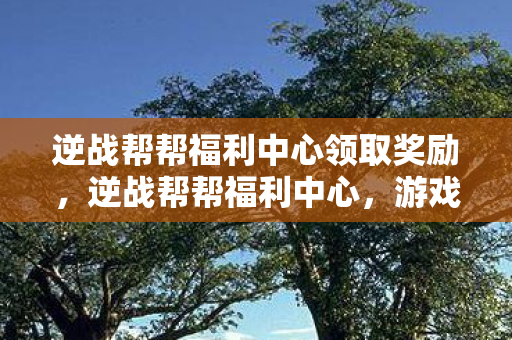逆战帮帮福利中心领取奖励，逆战帮帮福利中心，游戏玩家的福音与聚集地