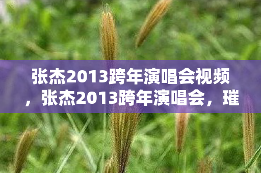 张杰2013跨年演唱会视频，张杰2013跨年演唱会，璀璨之夜，歌声与激情的碰撞