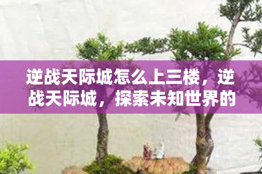 逆战天际城怎么上三楼,逆战天际城,探索未知世界的神秘之门 逆战天际城怎么上三楼,逆战天际城,探索未知世界的神秘之门