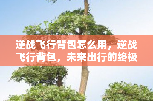 逆战飞行背包怎么用,逆战飞行背包,未来出行的终极梦想? 逆战飞行背包怎么用,逆战飞行背包,未来出行的终极梦想?