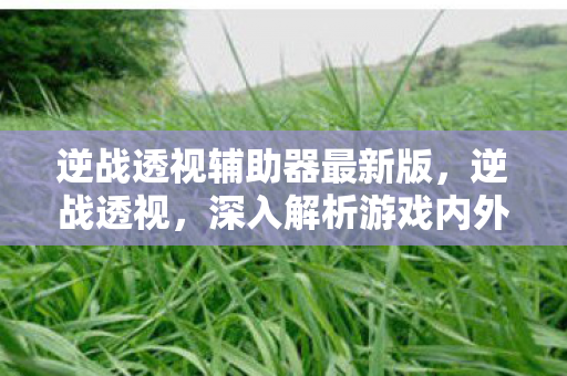 逆战透视辅助器最新版,逆战透视,深入解析游戏内外的多维度视角 逆战透视辅助器最新版,逆战透视,深入解析游戏内外的多维度视角