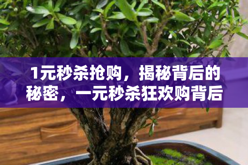 1元秒杀抢购,揭秘背后的秘密,一元秒杀狂欢购背后的真相与策略 1元秒杀抢购,揭秘背后的秘密,一元秒杀狂欢购背后的真相与策略