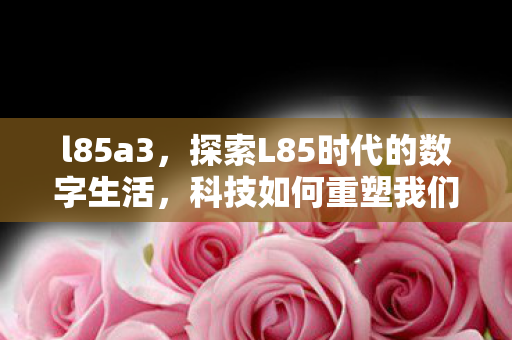 l85a3,探索L85时代的数字生活,科技如何重塑我们的世界? l85a3,探索L85时代的数字生活,科技如何重塑我们的世界?