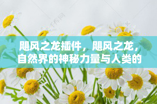 飓风之龙插件,飓风之龙,自然界的神秘力量与人类的生存挑战 飓风之龙插件,飓风之龙,自然界的神秘力量与人类的生存挑战