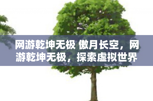 网游乾坤无极 傲月长空，网游乾坤无极，探索虚拟世界的无尽魅力