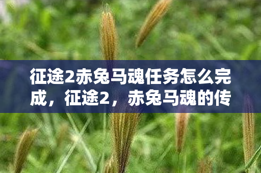 征途2赤兔马魂任务怎么完成，征途2，赤兔马魂的传奇之旅